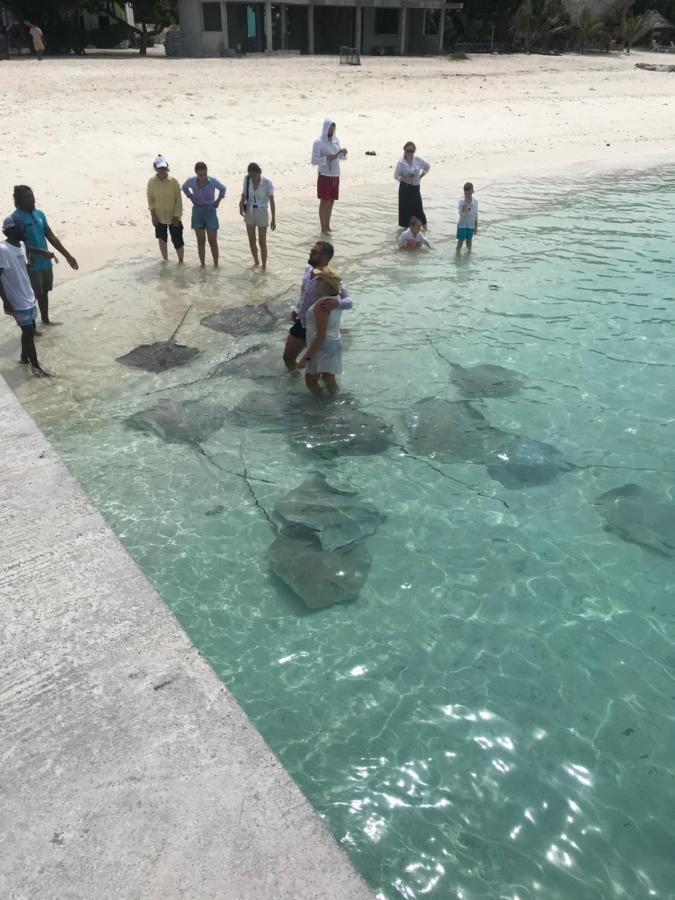 Malas Island View Fulidhoo Exterior foto